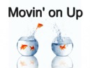 movingupfish